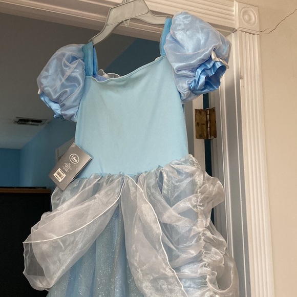 Cinderella Costume Dress - Picture 5 of 6